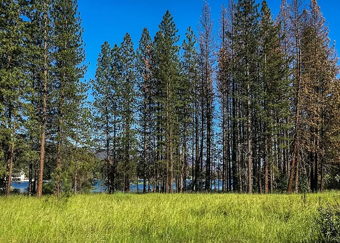 Willard Lake House